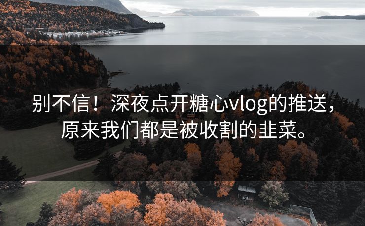 别不信！深夜点开<strong>糖心vlog</strong>的推送，原来我们都是被收割的韭菜。