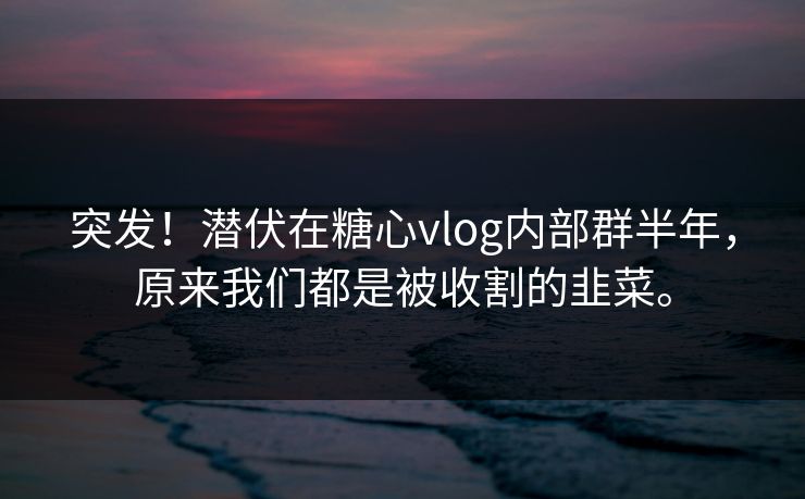 突发！潜伏在糖心vlog内部群半年，原来我们都是被收割的韭菜。