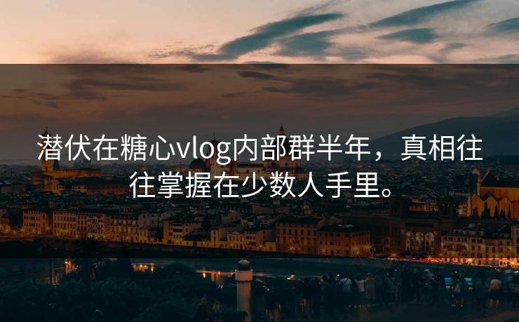 潜伏在<strong>糖心vlog</strong>内部群半年，真相往往掌握在少数人手里。